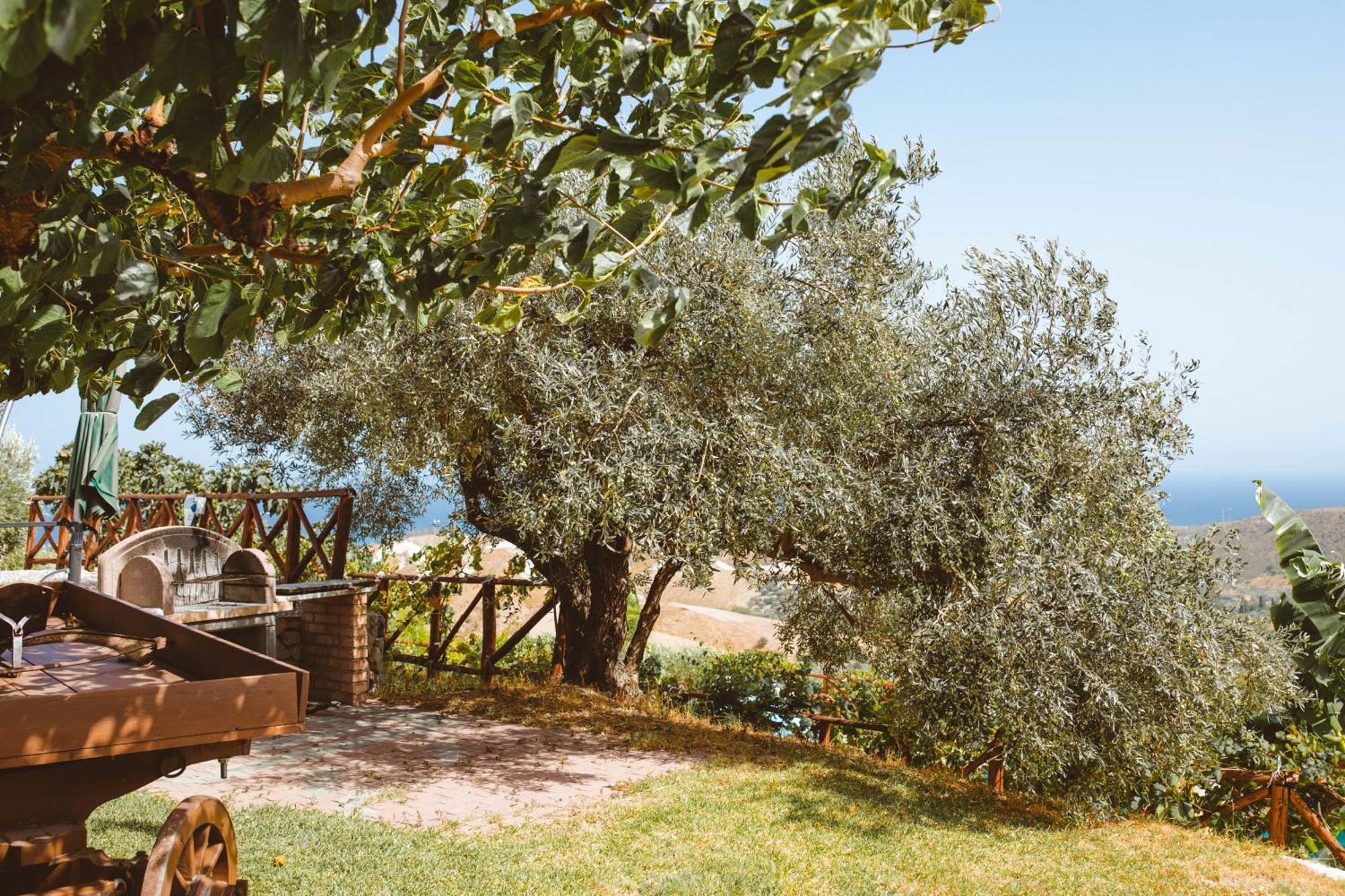 Calami - Villa Romeo - Private Apartments With Pool, Seaview & Olive Grove Santa Caterina Dello Ionio Marina Экстерьер фото