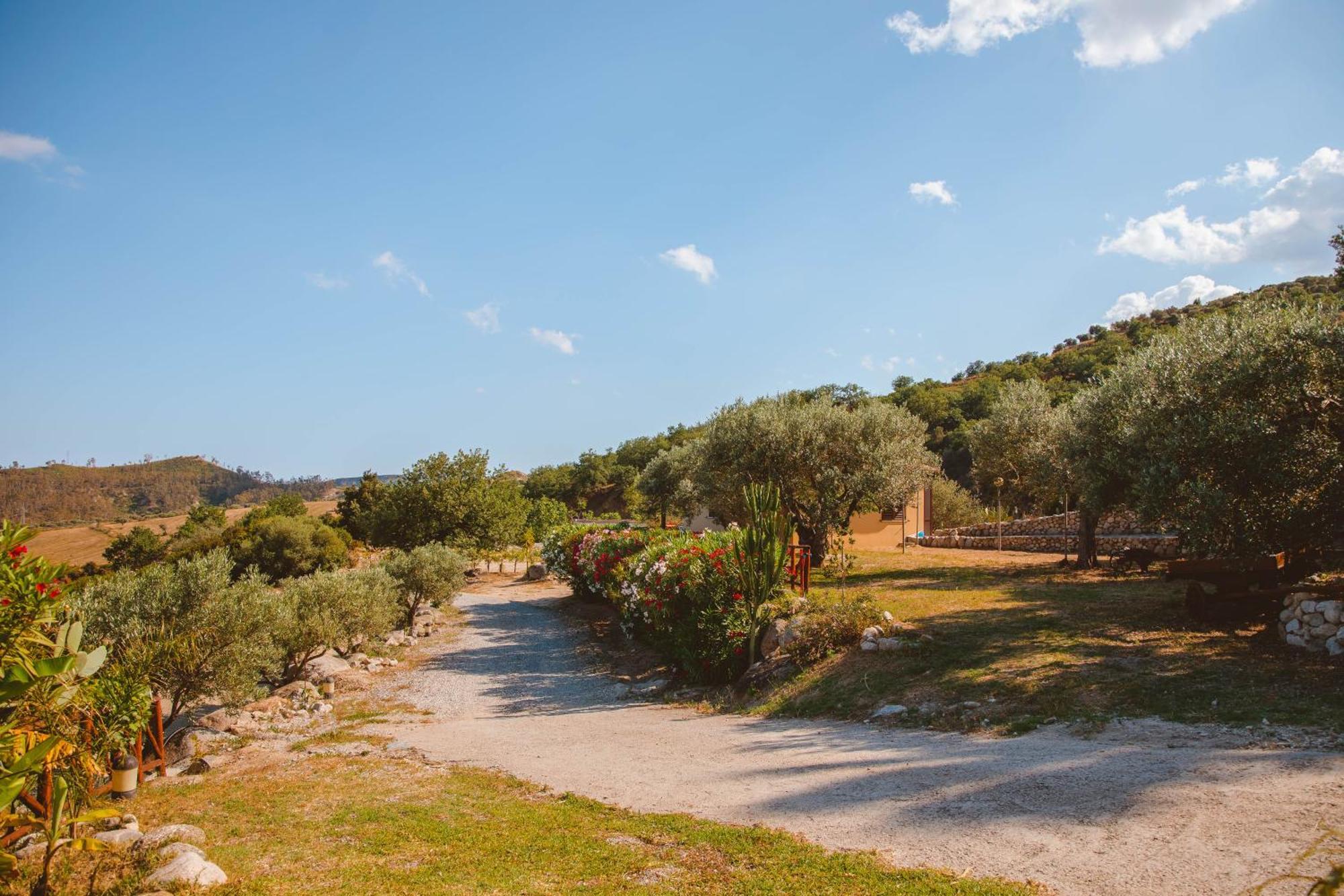 Calami - Villa Romeo - Private Apartments With Pool, Seaview & Olive Grove Santa Caterina Dello Ionio Marina Экстерьер фото