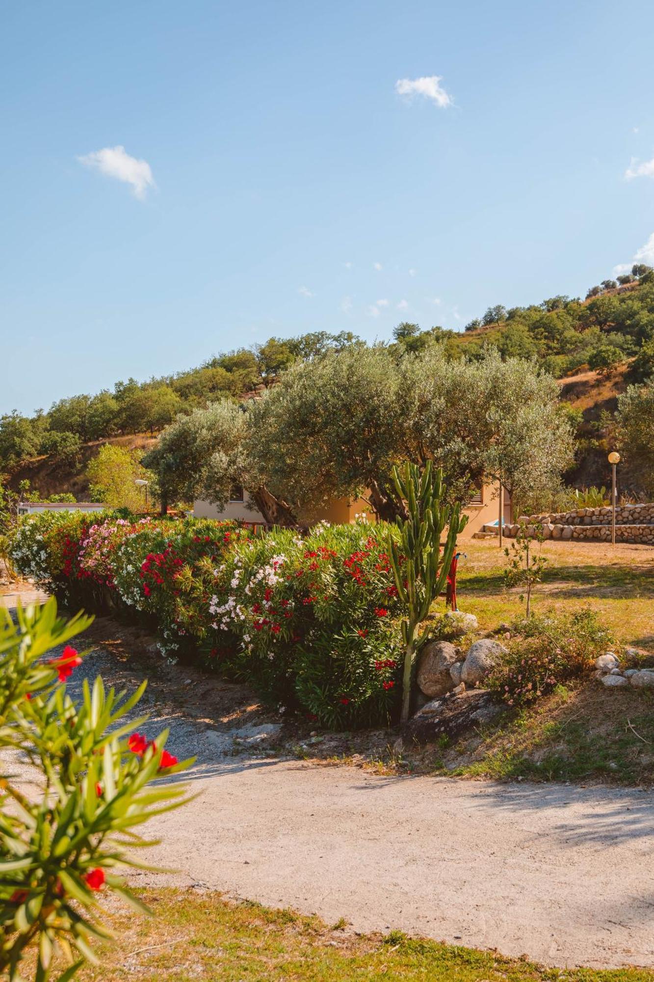 Calami - Villa Romeo - Private Apartments With Pool, Seaview & Olive Grove Santa Caterina Dello Ionio Marina Экстерьер фото