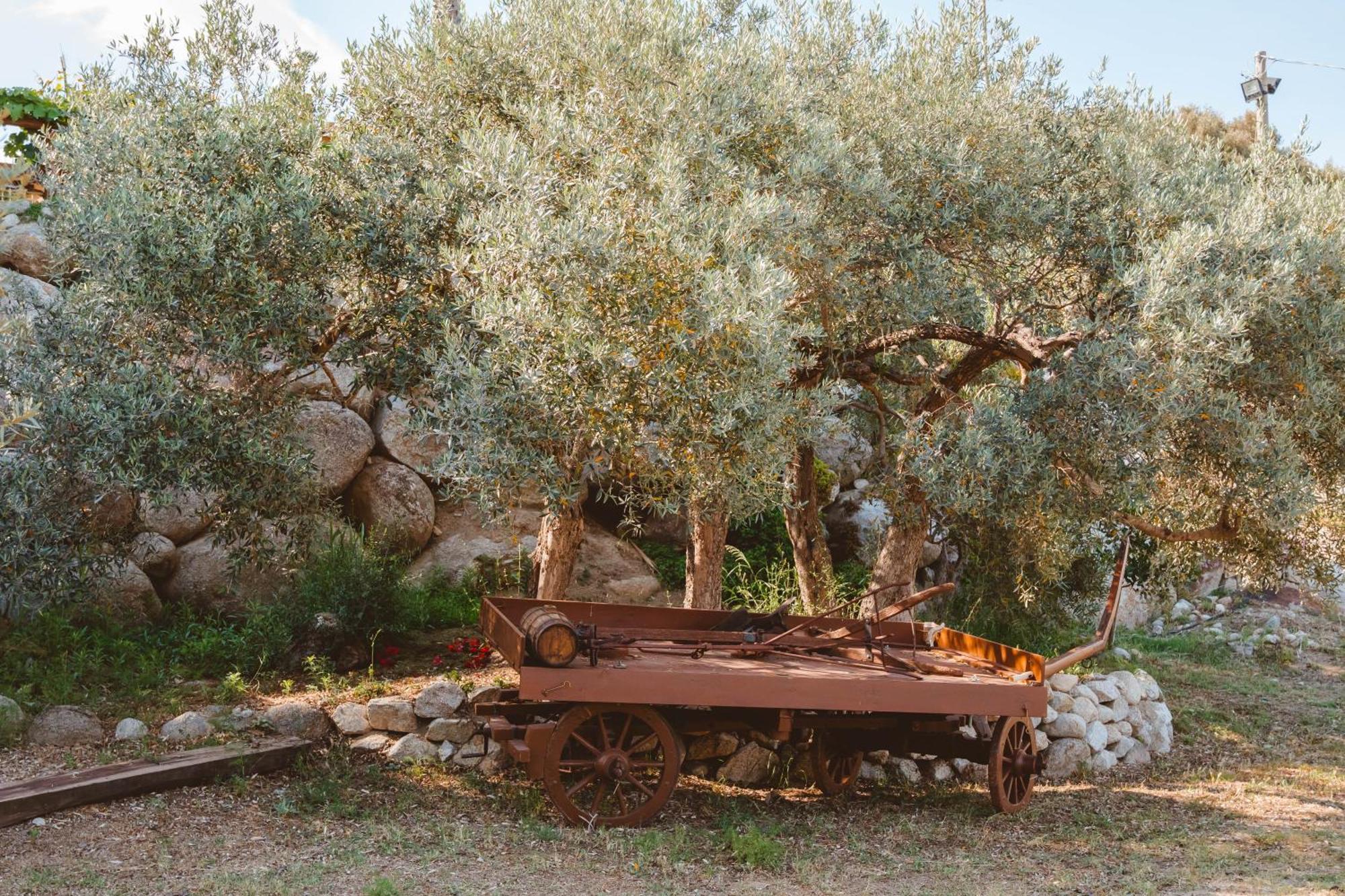 Calami - Villa Romeo - Private Apartments With Pool, Seaview & Olive Grove Santa Caterina Dello Ionio Marina Экстерьер фото
