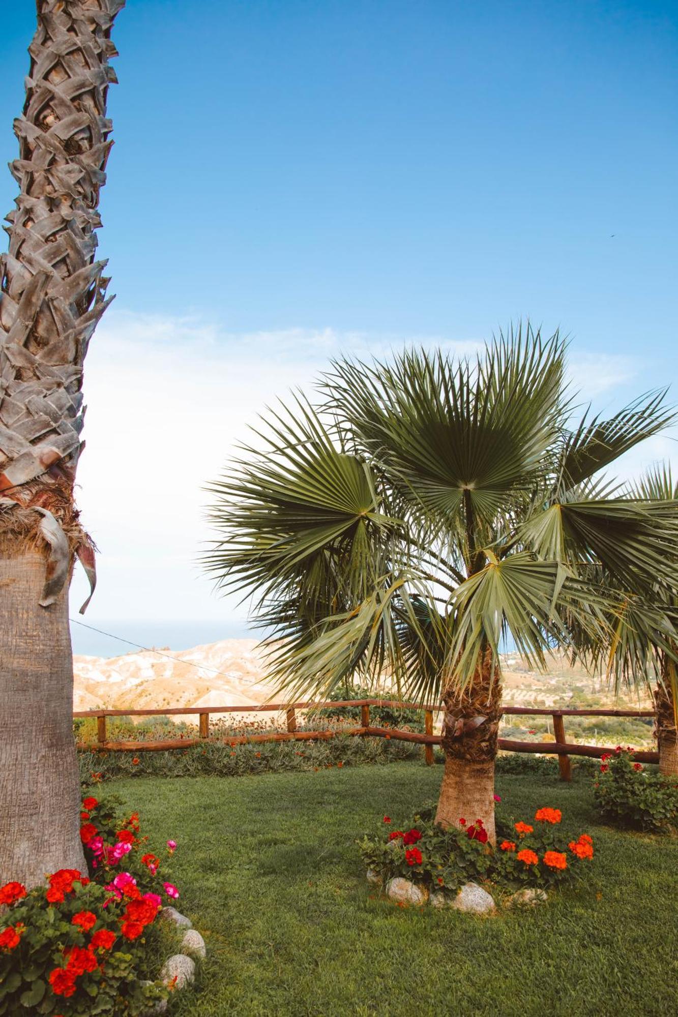 Calami - Villa Romeo - Private Apartments With Pool, Seaview & Olive Grove Santa Caterina Dello Ionio Marina Экстерьер фото